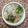 Cooksnap dari Aini's Kitchen untuk resep 574. Soto Bandung