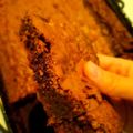 El cooksnap de Renata Giusti cuando hizo Brownie con cacao (sin barras o chips de chocolate).