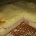 El cooksnap de Karile cuando hizo Torta de fiambre  (masa licuada).
