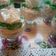 صورة من 🌸ام سلمى🌸🍪 للحلويات ووملحات🍩🍰، شاركها بعد تجربة وصفة موس الشوكولاتة