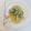 il Angel quando ha preparato Trenette con vongole, asparagi e aglio dolce