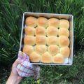 Cooksnap dari Febio Abeba untuk resep Roti manis susu