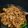 Cooksnap dari black vip untuk resep Mie goreng kecap