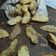 Cooksnap dari Noni Sukmawati untuk resep Potato Wedges