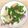 棠棠 的 炒碗豆莢 cooksnap