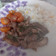 El cooksnap de Joseline Brown cuando hizo Arroz chaufán y carne mongoliana.