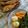 Cooksnap από Λεμονιά Πούλου στη συνταγή Νερόβραστα λαχανικά εποχής με τηγανιτά ψάρια
