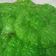 Cooksnap dari NoviTan untuk resep 525. Kue Cucur Pandan Berserat #RabuBaru