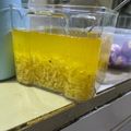 Cooksnap dari Elsi Chalista untuk resep Baceman Bawang Putih (Plus Tips Agar Awet)