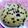 Puja Shaw's cooksnap of when they made হোল হুইট বানানা চকো চিপস্ কেক(Wholewheat banana chocochips cake recipe in Bengali).