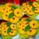 Cooksnap dari Irma Rays untuk resep Kue Lumpur Labu Kuning