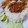 Aruna Thapar's cooksnap of when they made Rajma Chawal.