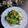 Cooksnap Hani Shaimi semasa beliau membuat Pucuk Manis Masak Lemak Campur Tahu dan Cendawan.
