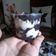 Cooksnap dari Toko AMRI untuk resep Oreo cheese cake