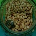 Cooksnap dari n rj n h untuk resep Kacang Bawang rasa Mede