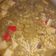 El cooksnap de Yana Aguilar cuando hizo Sopa de marisco.