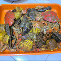 Cooksnap dari Raysinta Julianti untuk resep Seafood ala-ala crazy crab (kepiting udang saus Padang)