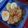 Cooksnap dari Dinna untuk resep Nasi Goreng Ayam Suwir