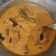 Cooksnap dari syahendra chan untuk resep Gulai Ayam khas Padang