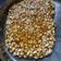 Preeti m jain का कुकस्नैप जब उन्होंने मूंगफली चिक्की(moongfali chikki recipe in hindi) बनाया था।