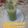 Rita mehta's cooksnap of when they made Cucumber Cooler.