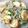 Cooksnap dari aniesaryono untuk resep Tumis Tauge Tofu