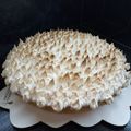 El cooksnap de Edith Fabiana Burgos cuando hizo Postre Lemon Pie (fácil).