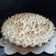 El cooksnap de Edith Fabiana Burgos cuando hizo Postre Lemon Pie (fácil).