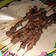 Cooksnap dari Eva Nugro untuk resep Sate Maranggi Khas Purwakarta