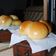 Cooksnap dari Firlia Rury untuk resep Roti dengan metode water roux
