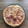 El cooksnap de AprendiendoDeCocina! 🎂🍅🥞🍜🍣 cuando hizo Quiche que jamón y queso.
