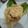 El cooksnap de Shirley cuando hizo Ají de pollo | Receta casera-Perú.