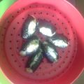 Cooksnap dari Wenny handayani untuk resep siomay balut nori 