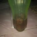 Cooksnap dari Mama YM untuk resep Air nabeez kurma (air rendaman kurma)#BikinRamadanBerkesan