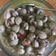Cooksnap dari Amandini Pertiwi untuk resep Tumis Kerang Dara Kulit Pedas Manis