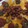 El cooksnap de Xavi Con X De Mixta cuando hizo Nachos con salsa cheddar con thermomix.