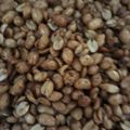 Cooksnap dari Ruri untuk resep Kacang Bawang Gurih Empuk