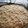 El cooksnap de teresa cabezas cuando hizo Tarta de atún.