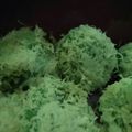 Cooksnap dari Arsita Novitasari untuk resep Klepon kenyal