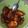 Cooksnap dari Dinda Rahma Putra untuk resep Ayam sambal kecap endess