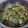 Cooksnap dari Taraxacum untuk resep #4 Tumis oyong telur