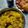 sandhya Dutta 's cooksnap of when they made খিচুড়ি(Khichuri recipe in Bengali).