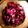 Ketki Dave's cooksnap of when they made ગુલાબ ની પાંદડી ની સુકવણી (Rose Petal Sukavani Recipe In Gujarati).