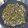 El cooksnap de Roberto Williams Rodriguez Borrero cuando hizo Calamares con judías verdes y patata.