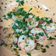 El cooksnap de Mariana Peralta cuando hizo Langostinos o gambas al ajillo.