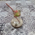El cooksnap de Lady Marmalade cuando hizo Cubos de hielo de fresa y kiwi.
