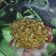 Cooksnap dari Linda imala ichsanti untuk resep Kwetiaw Goreng #pr_homemadeStreetFood