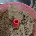 El cooksnap de Carolina cuando hizo Picadillo o paté de hígado.