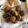 Layla (lulu)'s cooksnap of when they made Falafel with hummus and tahini salad what 3 recipes yummy.