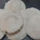 Ekta Rangam Modi's cooksnap of when they made ઇડલી (Idli Recipe In Gujarati).
